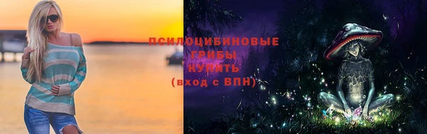 ПСИЛОЦИБИНОВЫЕ ГРИБЫ Балабаново