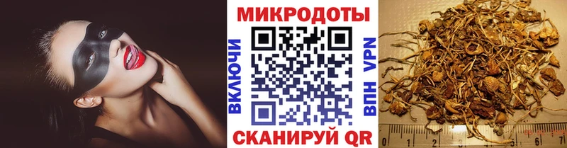 как найти   Сельцо  Галлюциногенные грибы MAGIC MUSHROOMS 