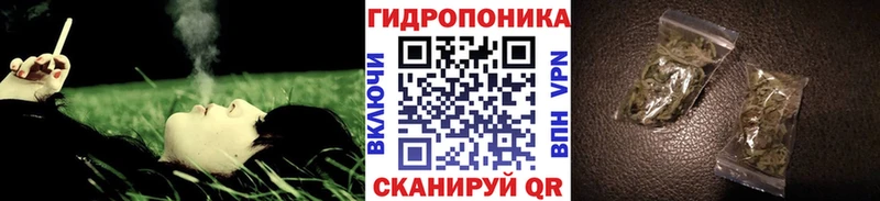цена   Сельцо  Шишки марихуана Ganja 